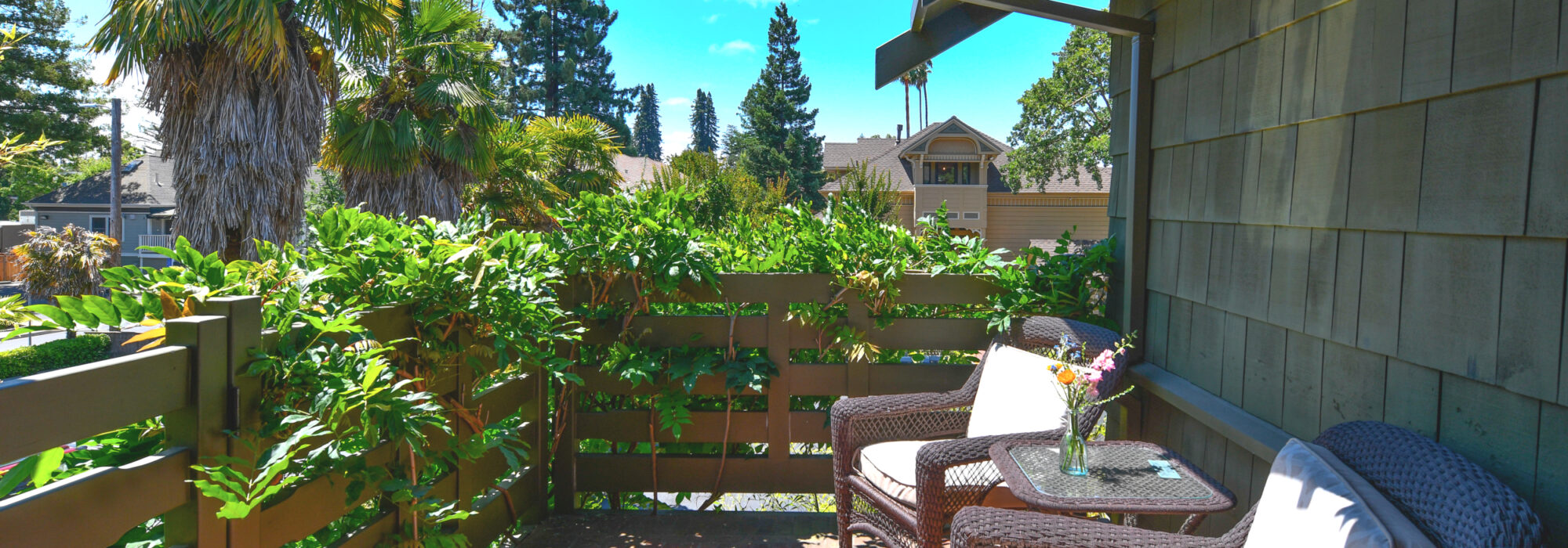 Room 8 Balcony with 2 Chairs and Table, Wisteria Vines on Balustrade, Palms in Background